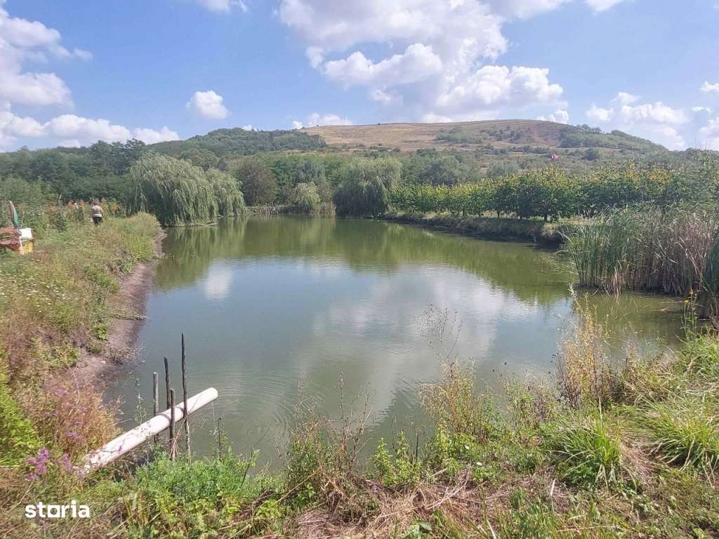 Livada cu cabana si lac (12.ooo mp) la Dostat - Imagine principală: 3/20