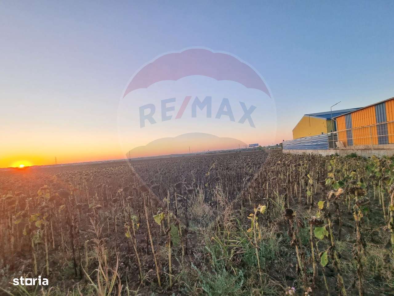 Teren 10,000mp Mangalia-Limanu / Drumul 391 - Imagine principală: 4/4