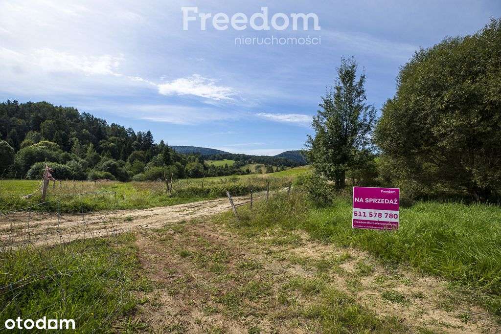 Działka - Bandrów - Bieszczady - Pełny obrazek: 4/19