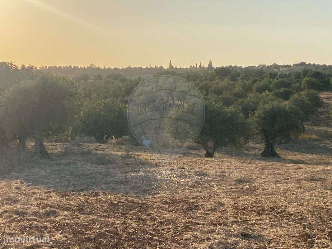 Terreno  para venda - Grande imagem: 2/12