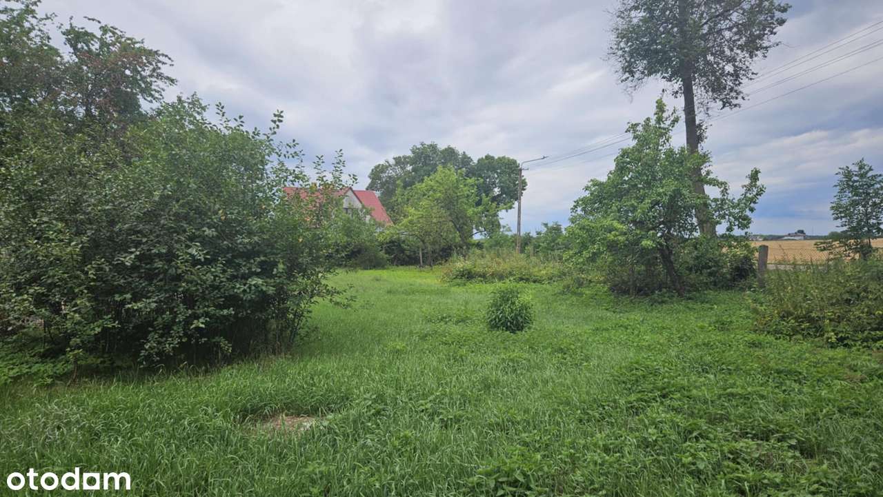 Dom na sprzedaż - Pełny obrazek: 5/5