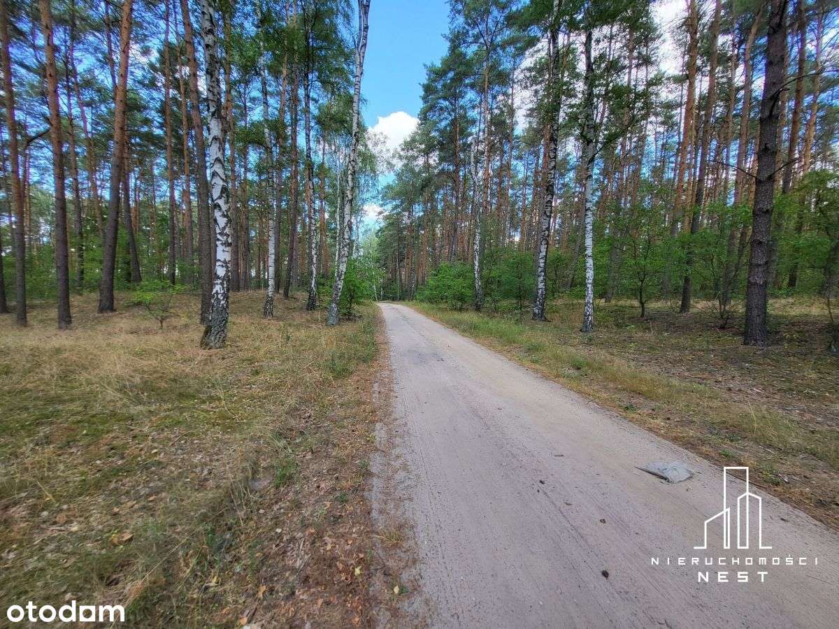 Działki po 1000m2-pakiet-możliwa zamiana-2