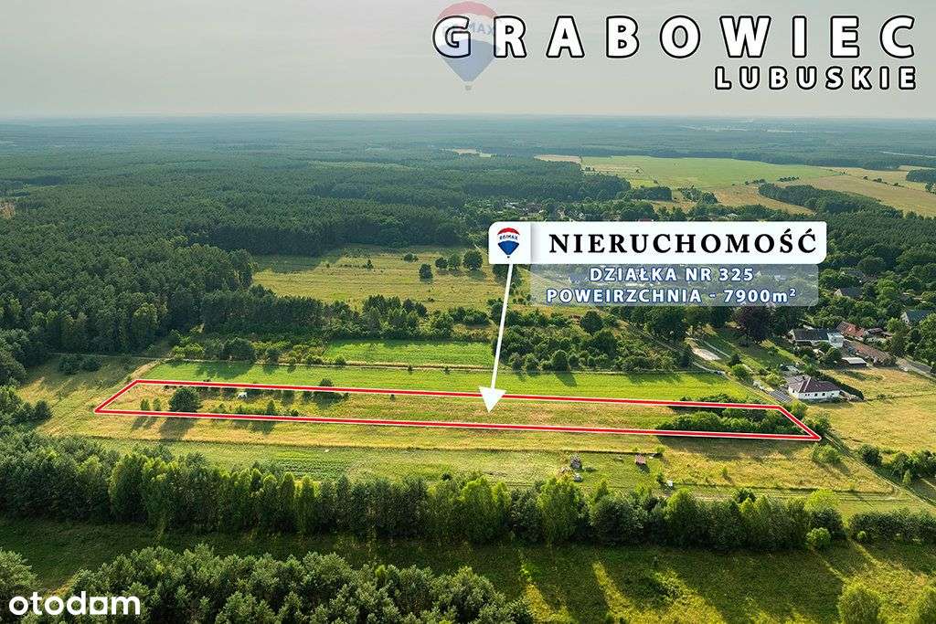 Na sprzedaż działka rolna 7900 m2, pod lasem - Pełny obrazek: 4/11