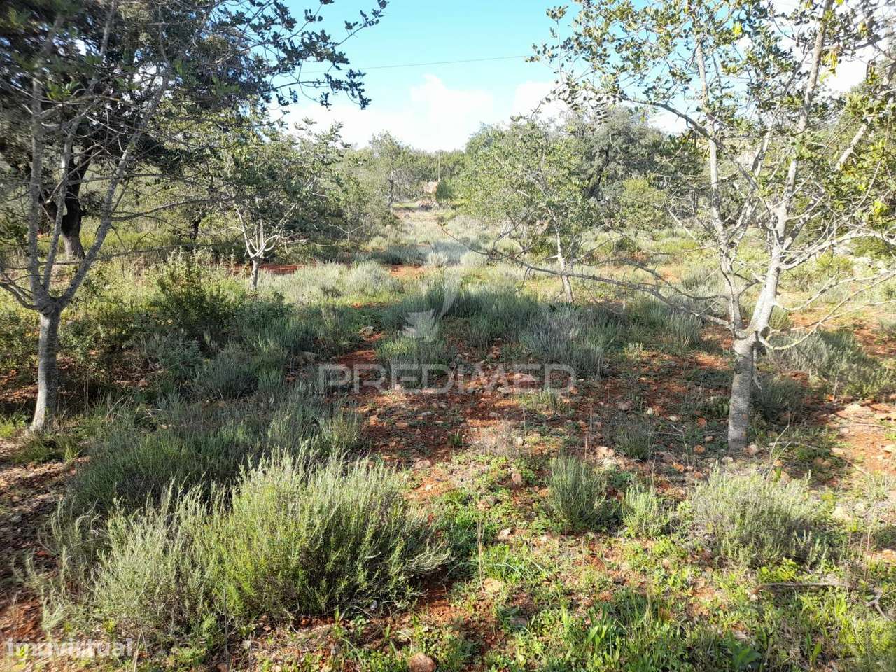 Terreno com projeto pata 9 moradias V3,localizado em Funchais da Tor - Grande imagem: 5/18