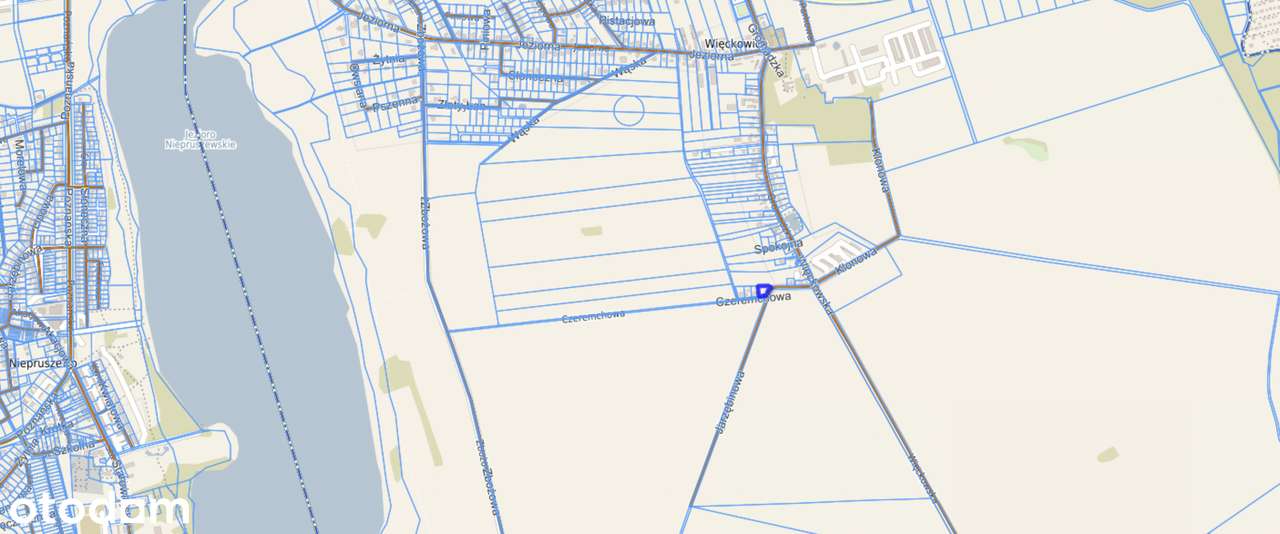 Malownicza działka nad Jeziorem Niepruszewskim - Pełny obrazek: 5/9