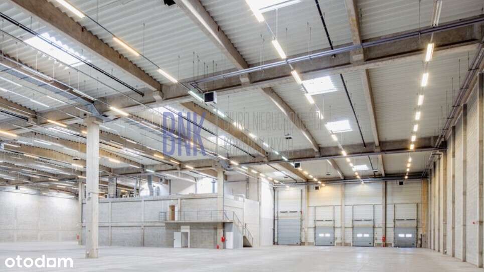 Powierzchnia magazynowa - Warszawa, Łopuszańska - Pełny obrazek: 4/5