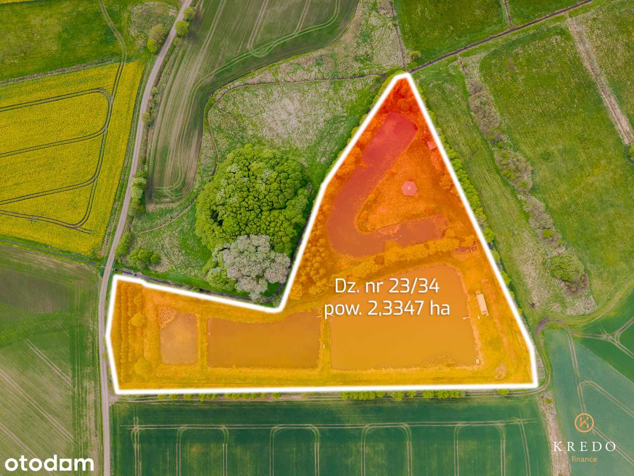 Działka marzeń dla miłośników natury i ludzi z pomysłem na biznes! - Pełny obrazek: 4/14