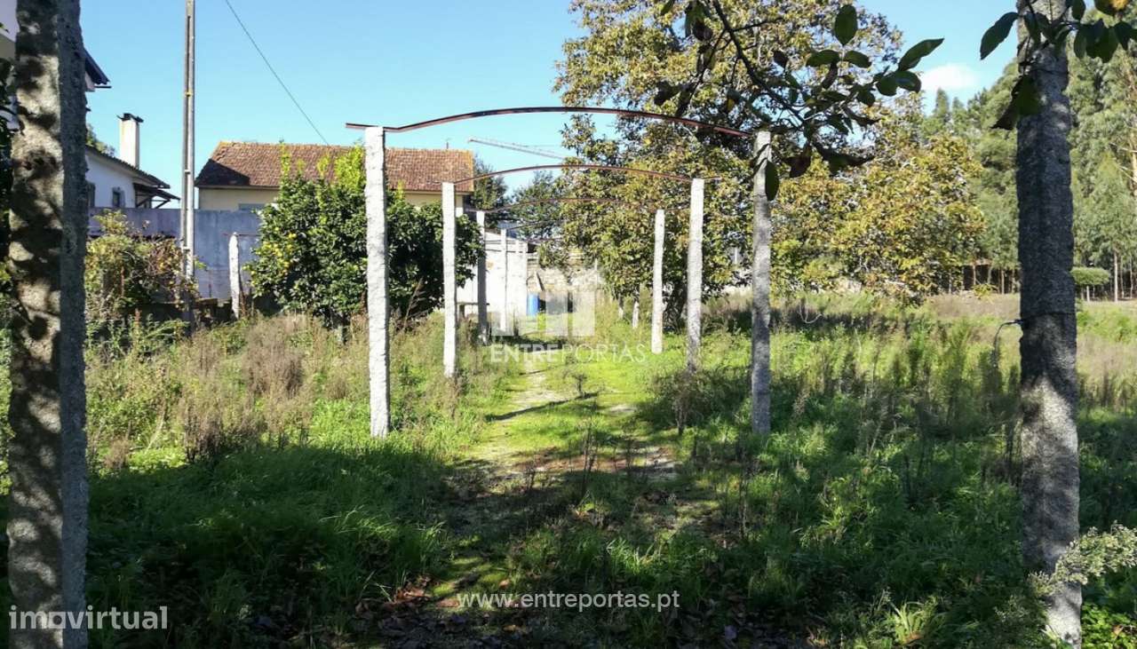 Venda de quintinha para restauro, Cardielos, Viana do Castelo - Grande imagem: 5/30