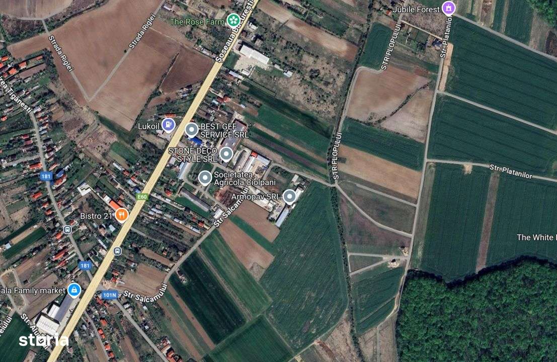 Teren 6900 m² de vanzare in Ciolpani-0