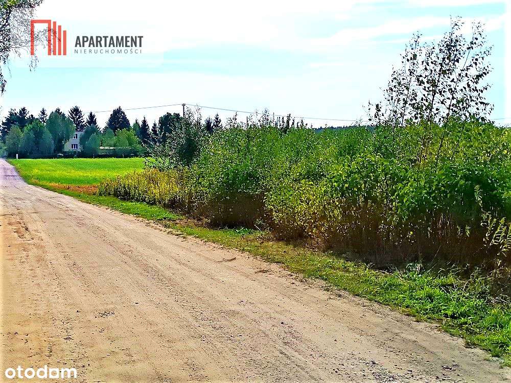 Toporzysko 3000m2 z Mpzp spokój cisza - Pełny obrazek: 5/8