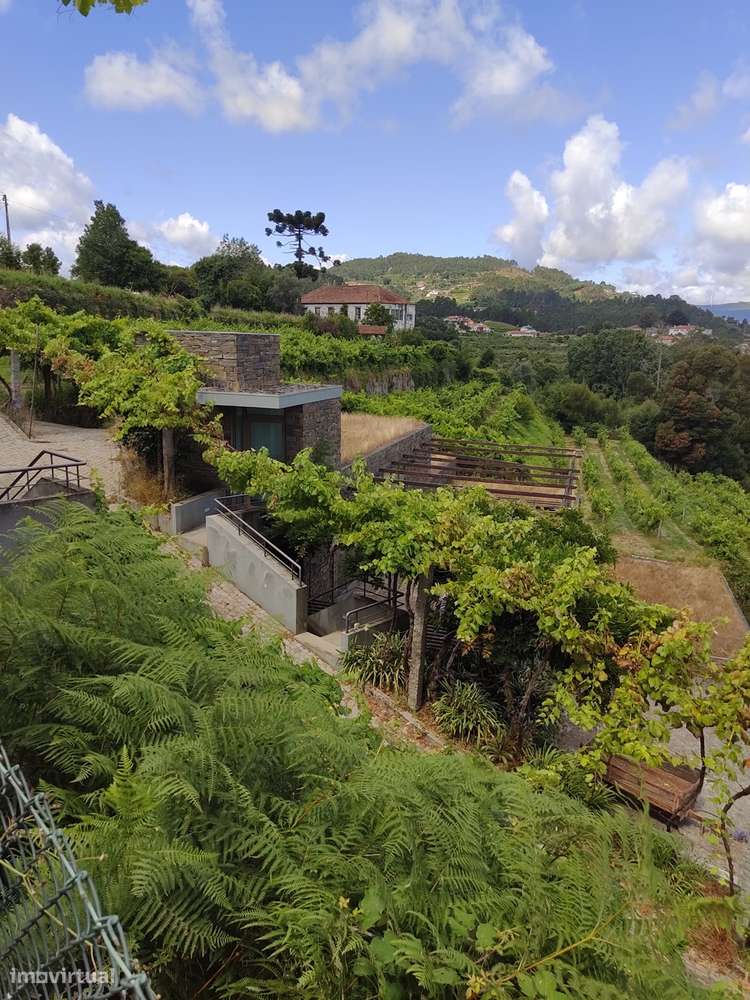 Quinta T7 Venda em Fornos,Castelo de Paiva-11