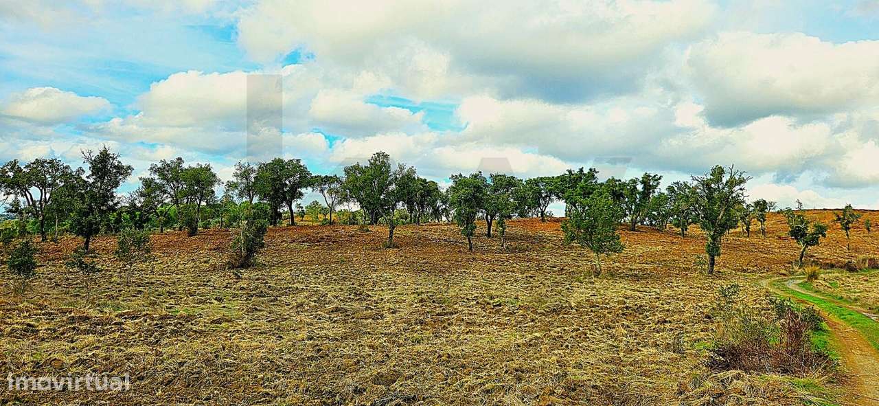 Herdade Exclusiva em Grândola: 35 Hectares, Vistas 360º e Viabilidade - Grande imagem: 3/40