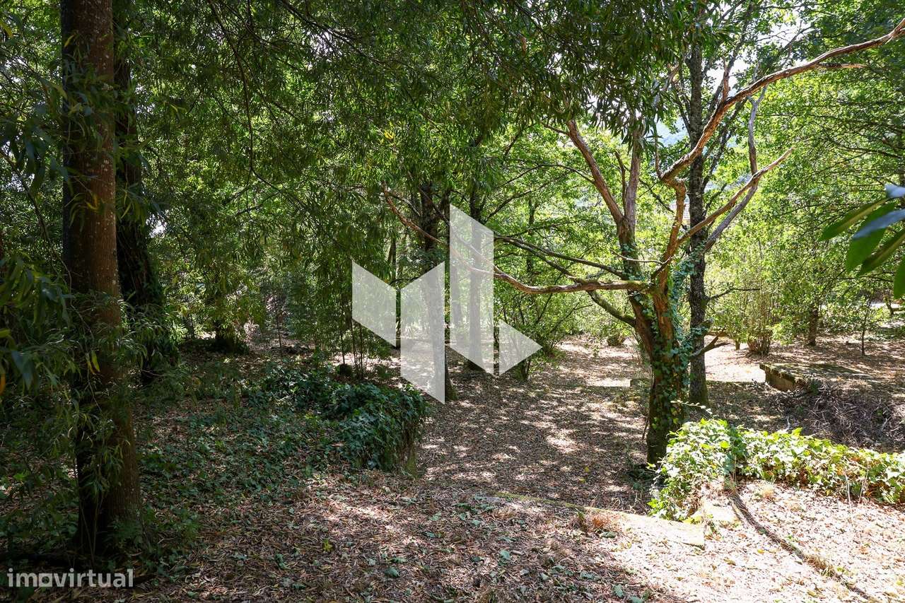 Quinta T6+3 Venda em Castelões,Tondela-34