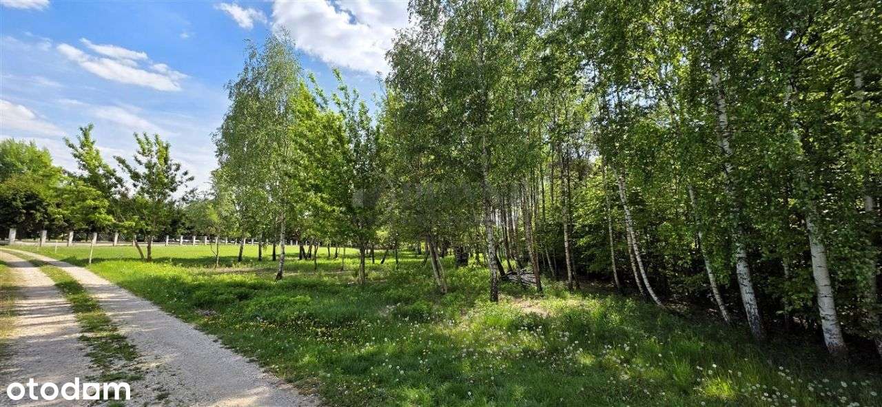 2385 m² Ostatnia Taka Malownicza, Budowlana!!!-0