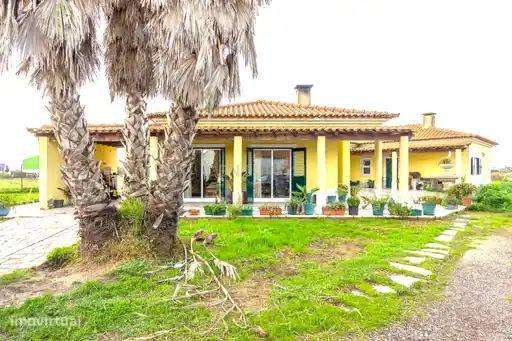 Casa Isolada em Moita, Setúbal - Oportunidade Única! - Grande imagem: 2/39