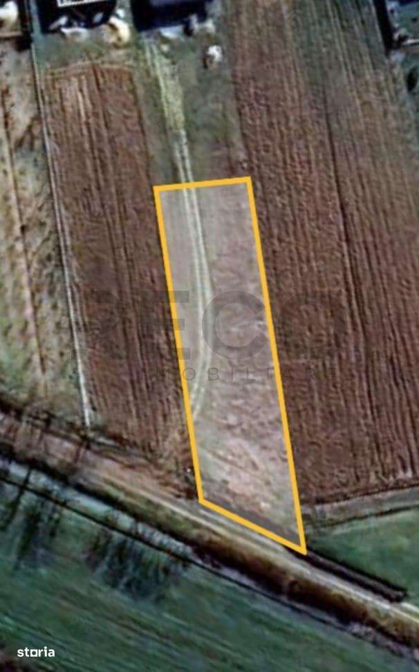 RECO Teren Intravilan Gepiu - Imagine principală: 1/2