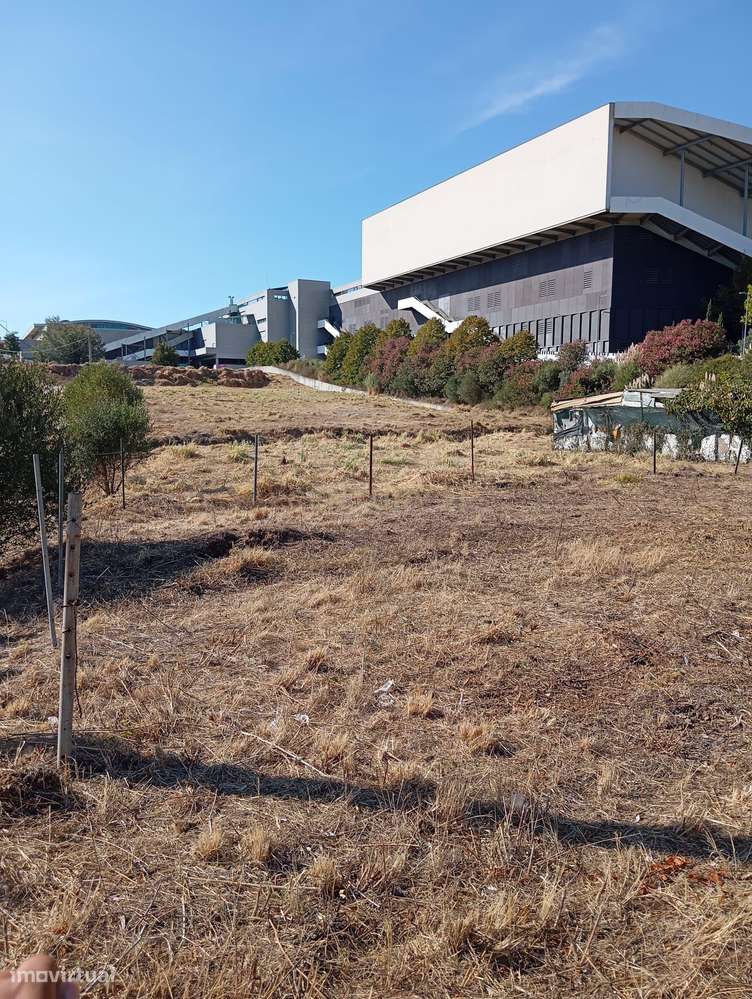 Oportunidade de Investimento em Rio de Mouro – Cabeça Gorda / Anafais-6