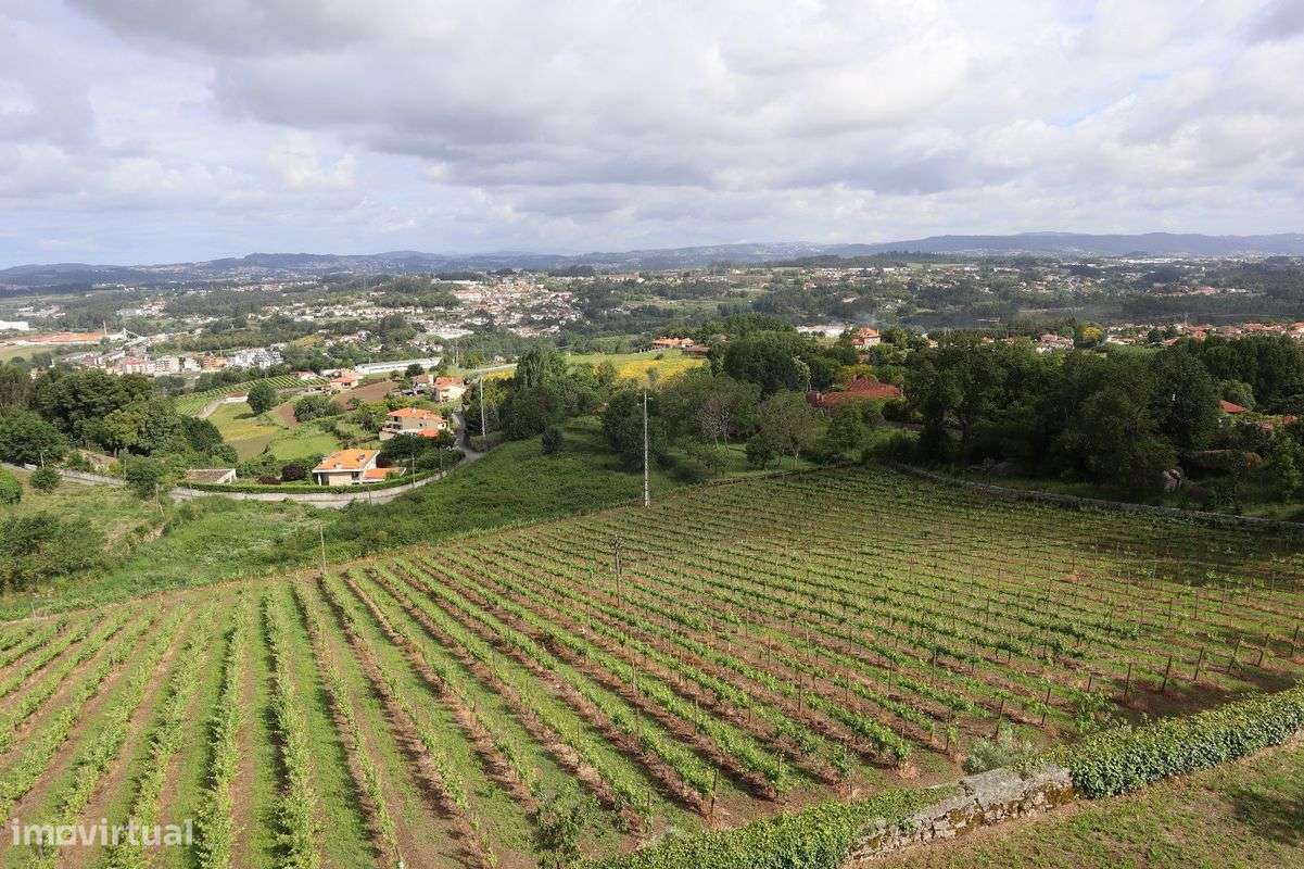 Quinta T7 para venda-27