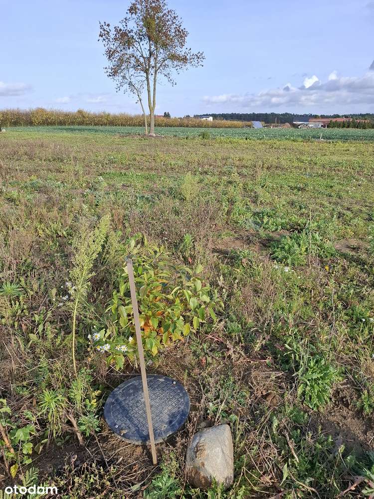 Atrakcyjna działka budowlana Mochle. - Pełny obrazek: 5/5