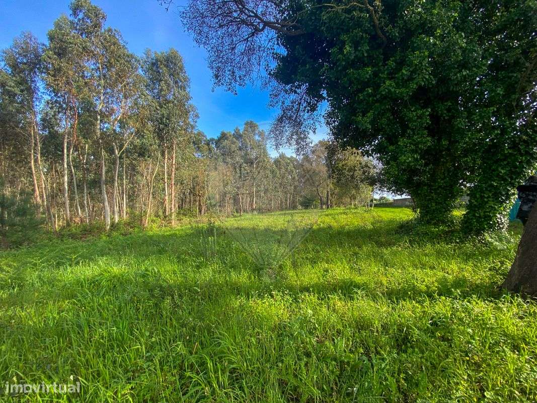 Terreno  para venda - Grande imagem: 3/17