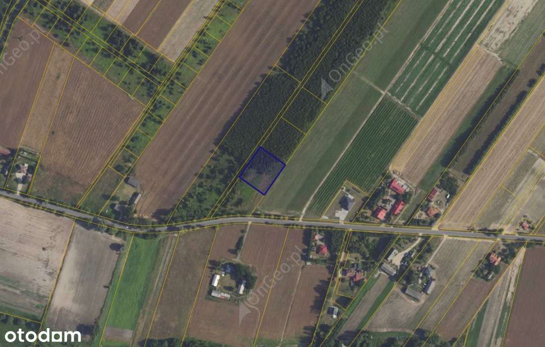 Działka 89/10 w miejscowości Kamienica-1