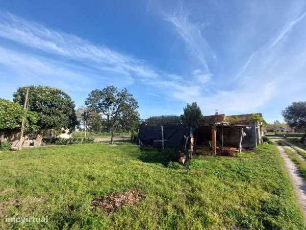 Moradia em Ferreira A Nova -Figueira da Foz-1