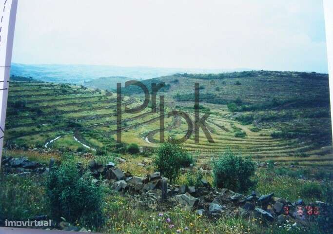 Herdade Montinho do Pascoal-19