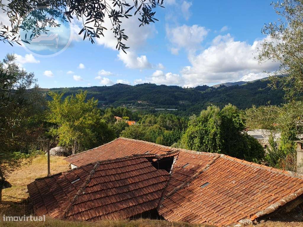 Quinta à venda para restauro em Arroteia freguesia de Rossas-41