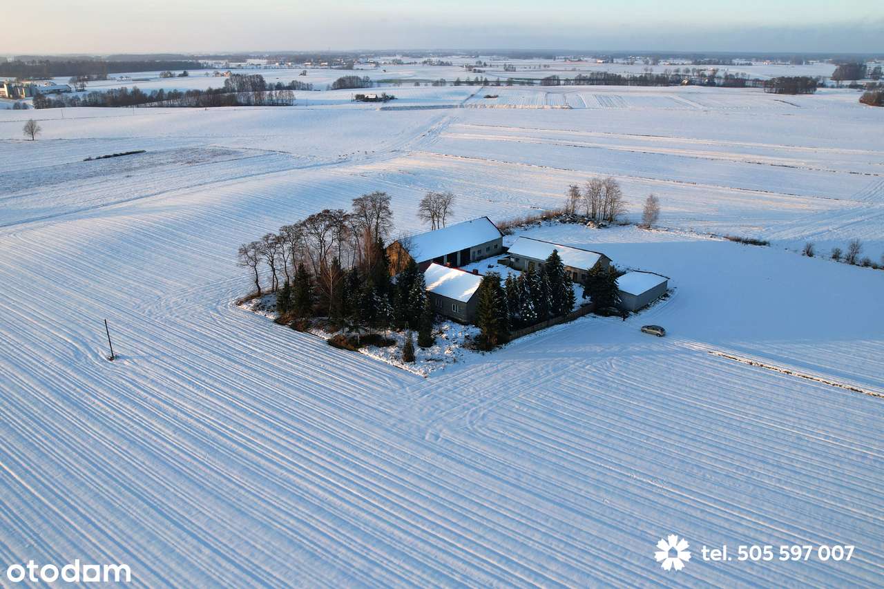 Na sprzedaż dom z budynkami i z dużą działką 5000 m2 - Pełny obrazek: 2/19