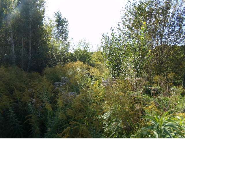 Działka o pow. 1005 m2 w Ługwałdzie ul. Kalinowa - Pełny obrazek: 4/6