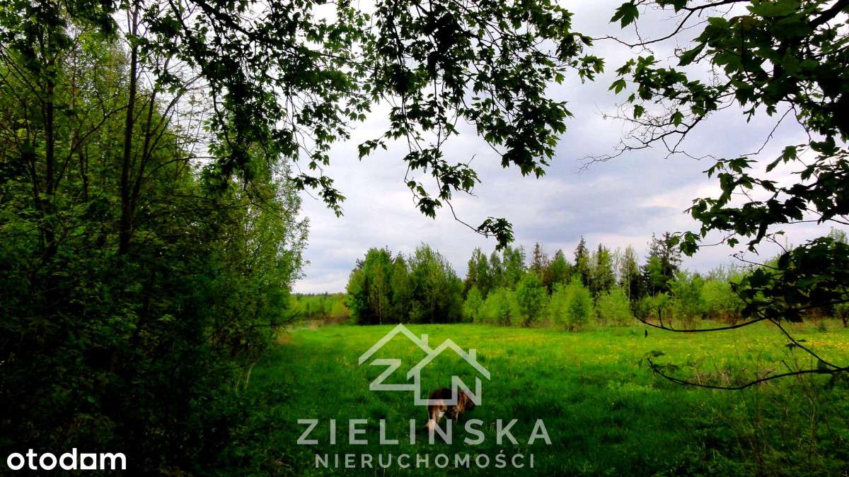 Grunty pod zabudowę lub fotowoltaikę – 10 ha,-9