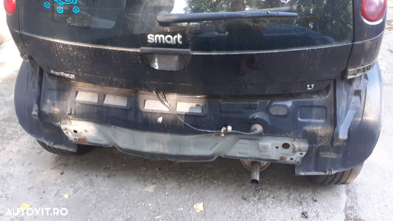 Panou spate Smart Forfour - 2