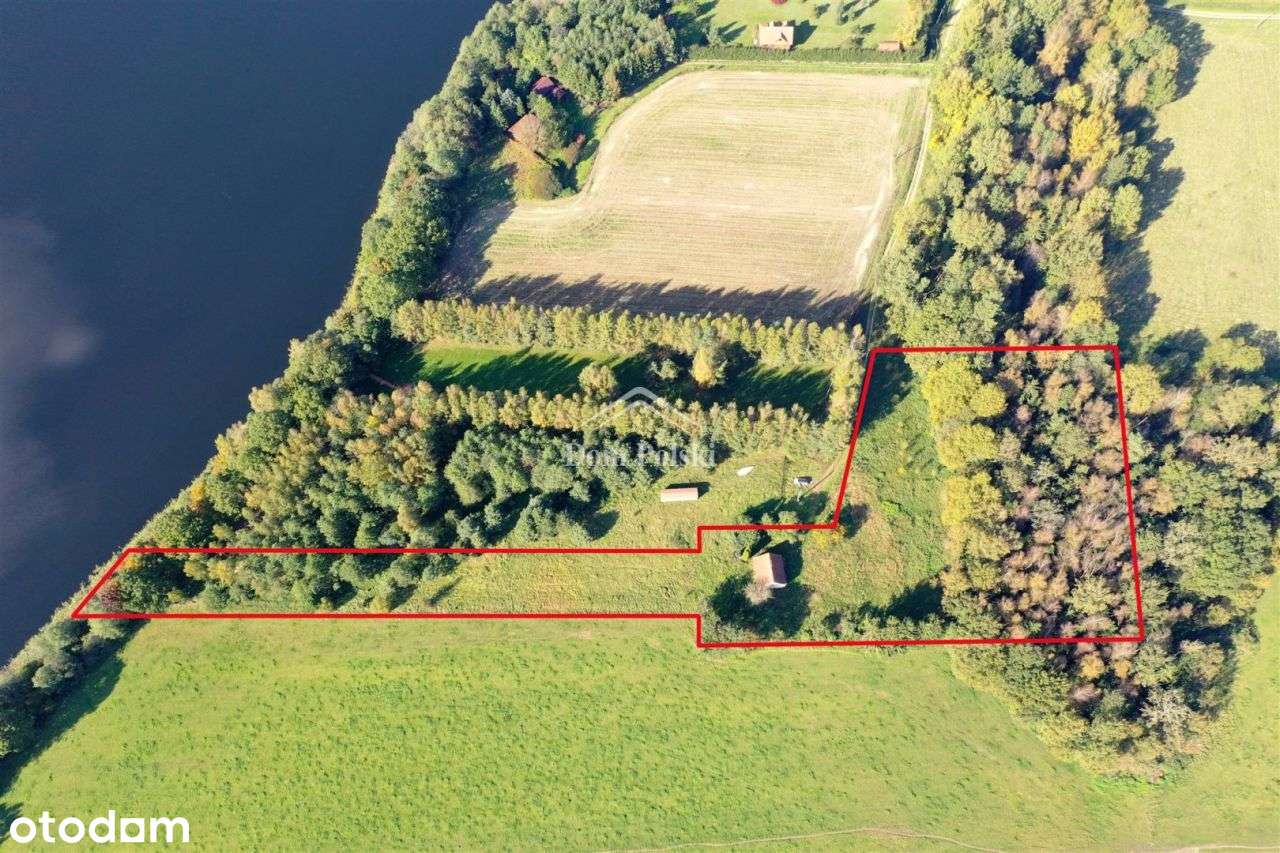 Siedlisko z linią brzegową jeziora,Puszcza Borecka - Pełny obrazek: 4/16