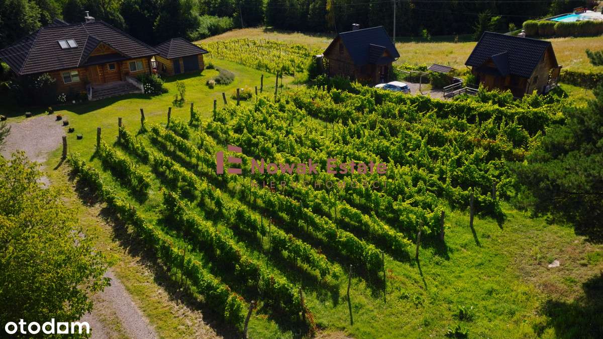 Winnica & Agroturystyka | gotowy biznes-8