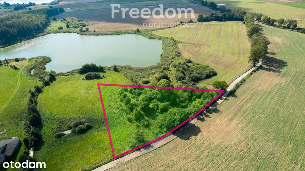 Działka budowlana 7200m2 - Warunki Zabudowy - Pełny obrazek: 4/4