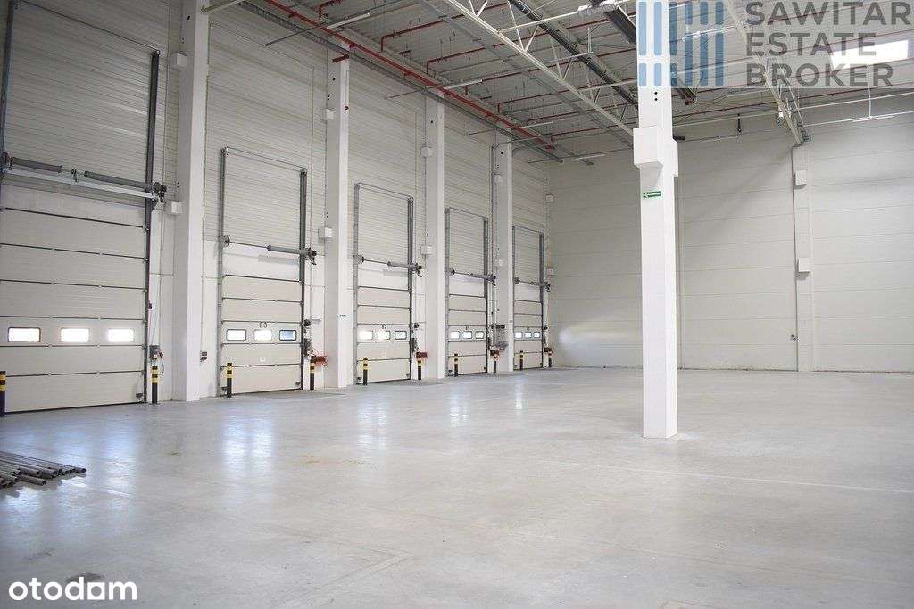 Hala klasy"A" Głuchowo przy A2/S11-bez prowizji - Pełny obrazek: 5/6