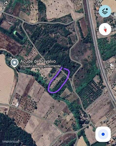 Terreno rústico com 3.000 M2, 50 oliveiras de boa qualidade - Grande imagem: 5/6