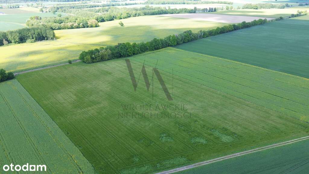 Działka inwestycyjna AG/6 – Cieśle, gmina Oleśnica-3