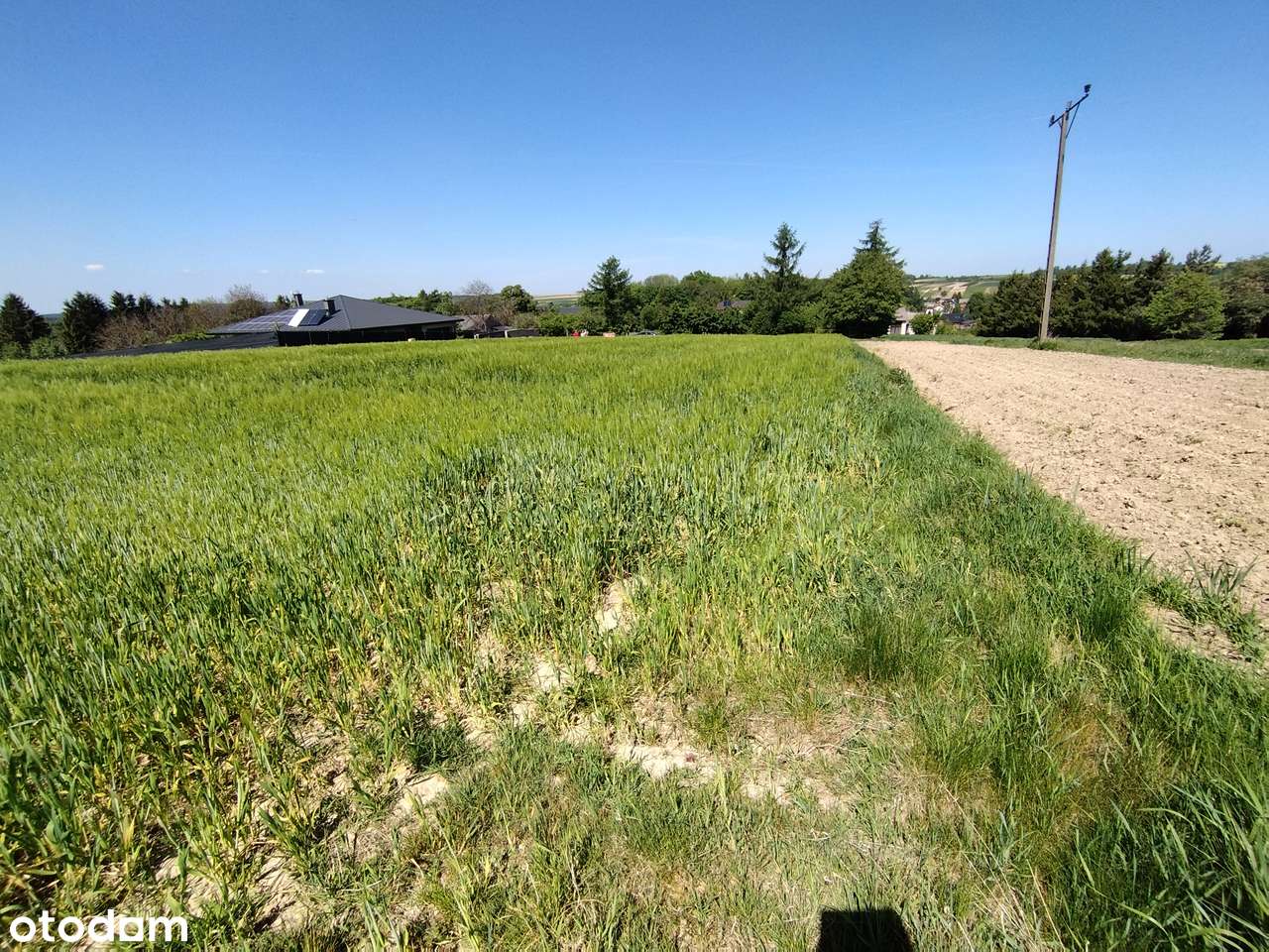 Na sprzedaż: urokliwa działka budowlana w Urzędowie, ul. Południowa-4