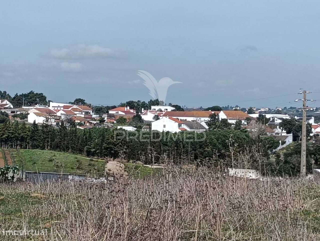 Terreno de 6.200m2 na Lapa (Cartaxo) - Grande imagem: 4/12