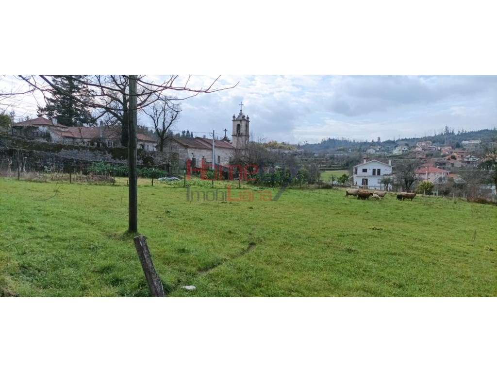 LOTE TERRENO EM OLIVEIRA DE FRADES - Grande imagem: 5/15