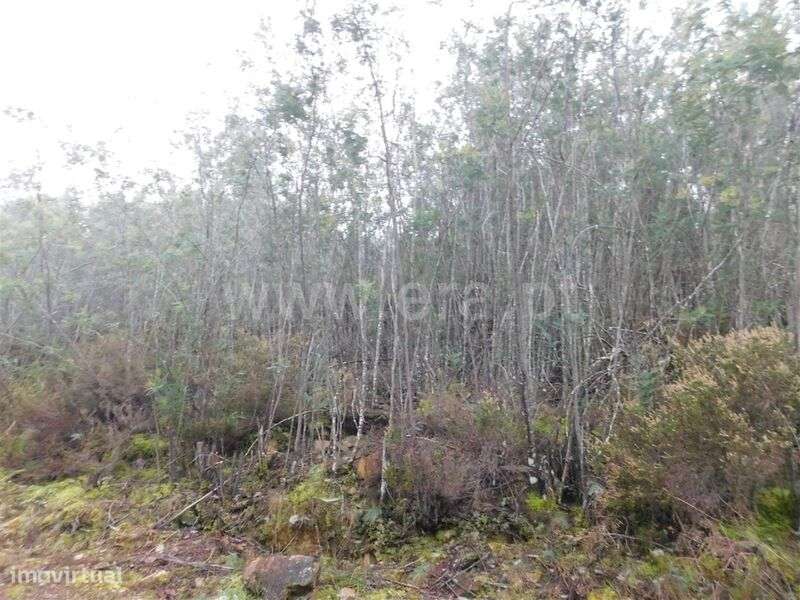 Terreno Rústico / Fundão, Souto da Casa - Grande imagem: 2/5