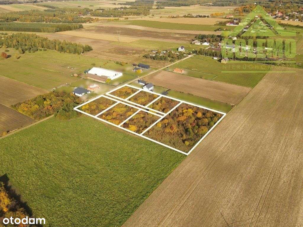 Działki budowlane / 1200m2 / Żuraw, gm. Janów - Pełny obrazek: 5/6