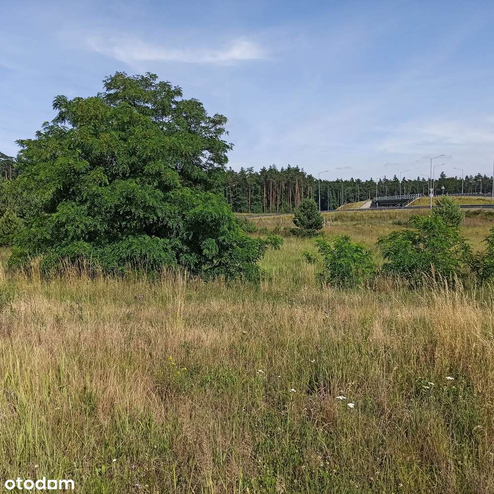 Działka, 3 461 m², Nietążkowo-6