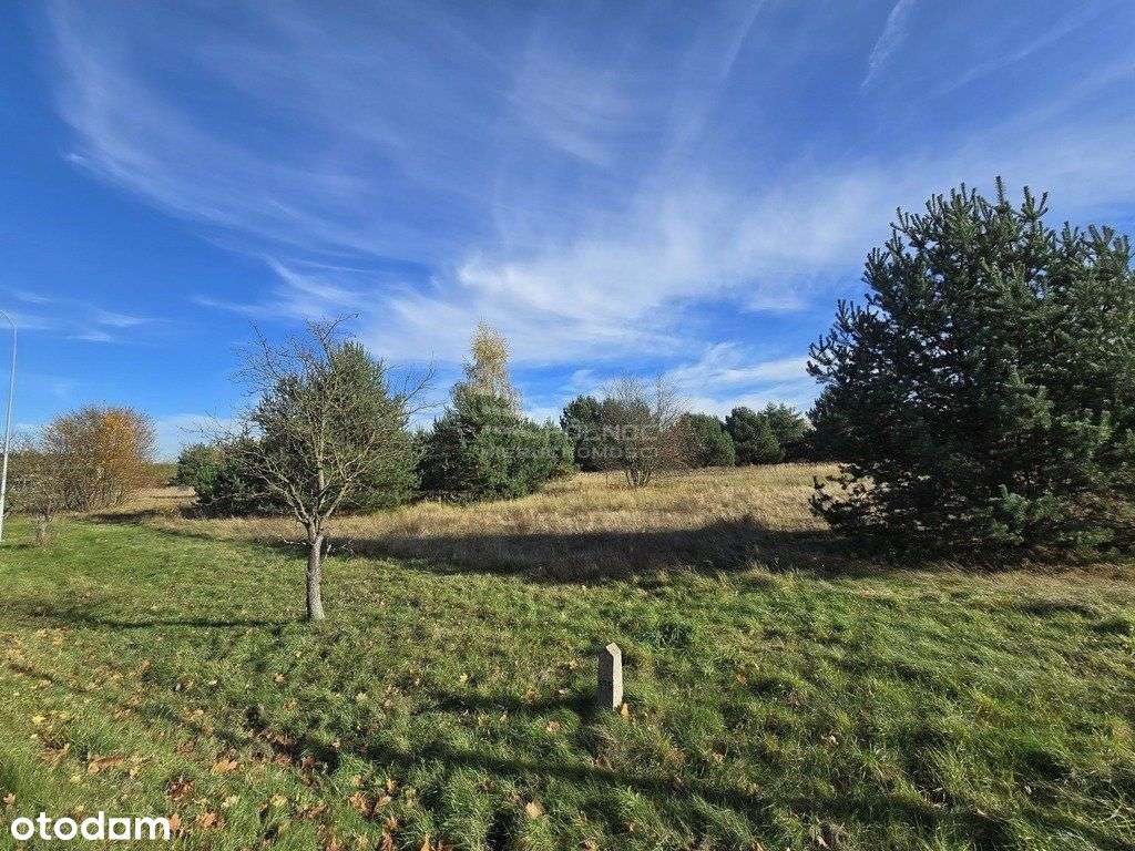 Działka inwestycyjno - przemysłowa. - Pełny obrazek: 5/6