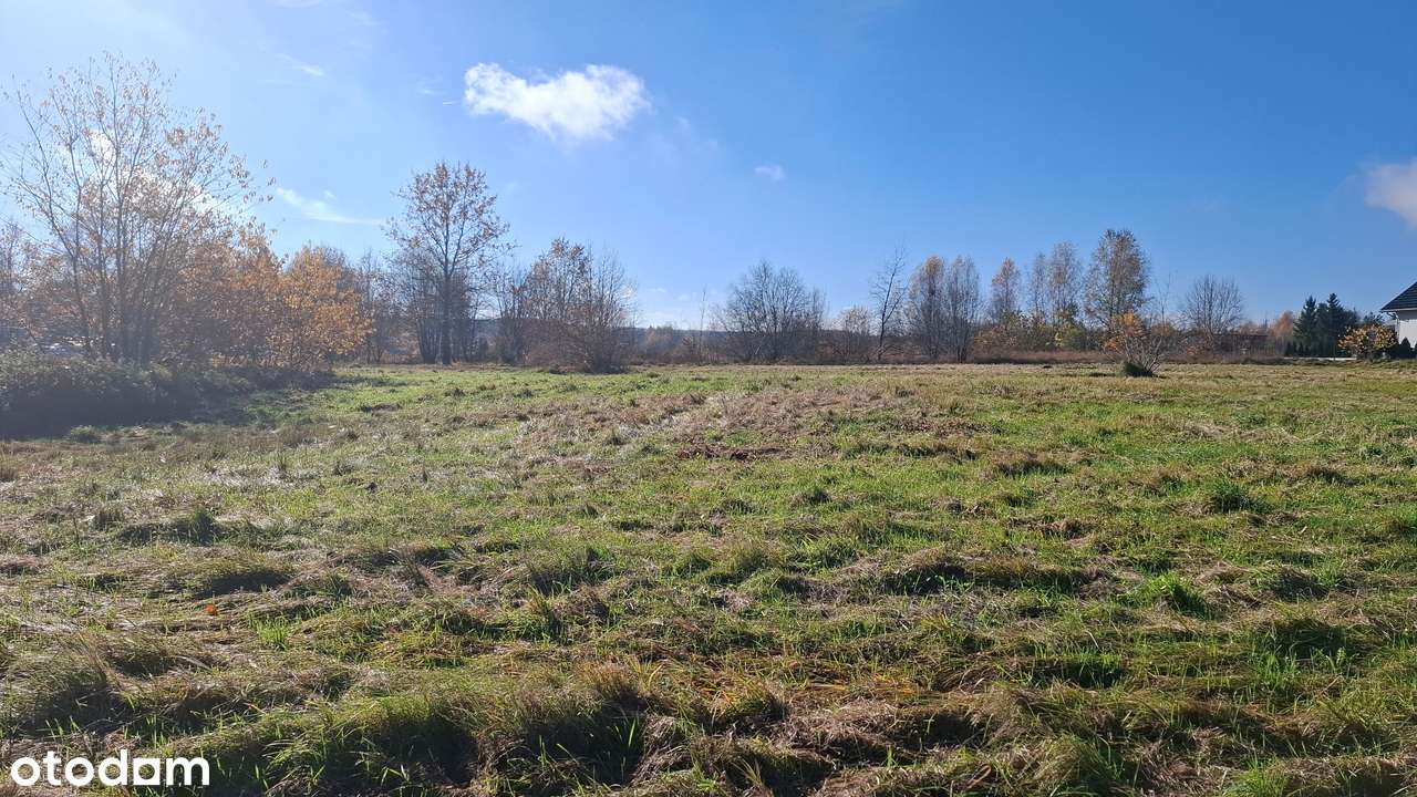 Spokojna okolica, możliwość podziału-10