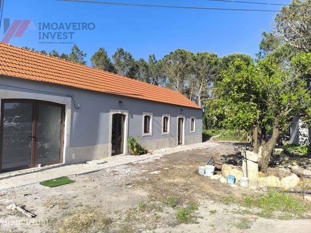 Moradia T4 Renovada com Jardim  Sanguinheira Cantanhede-37