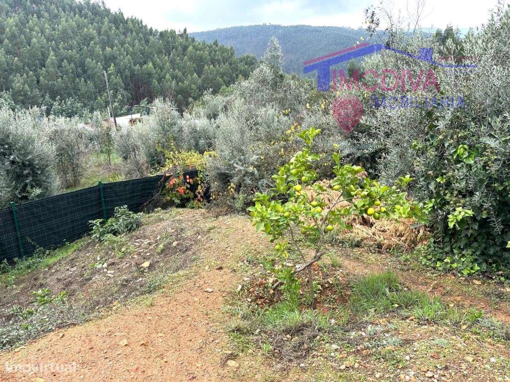 Moradia T2 a 5 minutos das Fragas São Simão-35