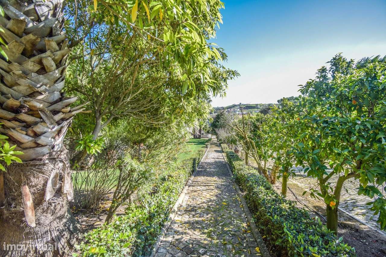 Quinta com Solar e Capela - Referência Histórica em Mafra-36