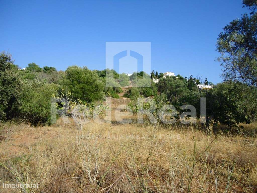 Terreno rústico, Loulé - Grande imagem: 5/7